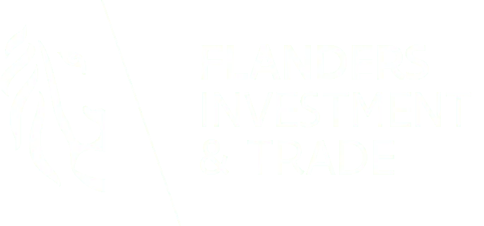 FIT Vlaanderen - subsidie voor website ontwikkeling