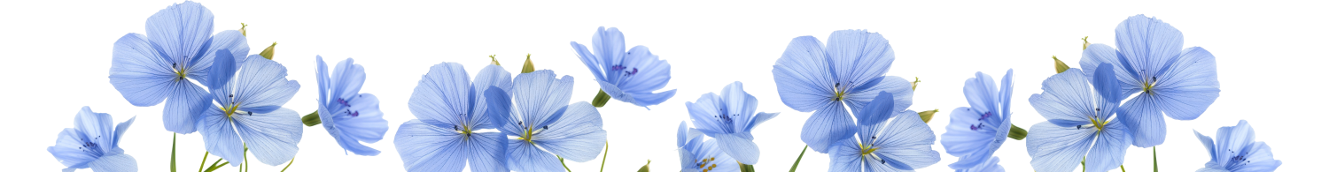 Vlas natuurvezels achtergrond - footer decoratie Vanhauwaert